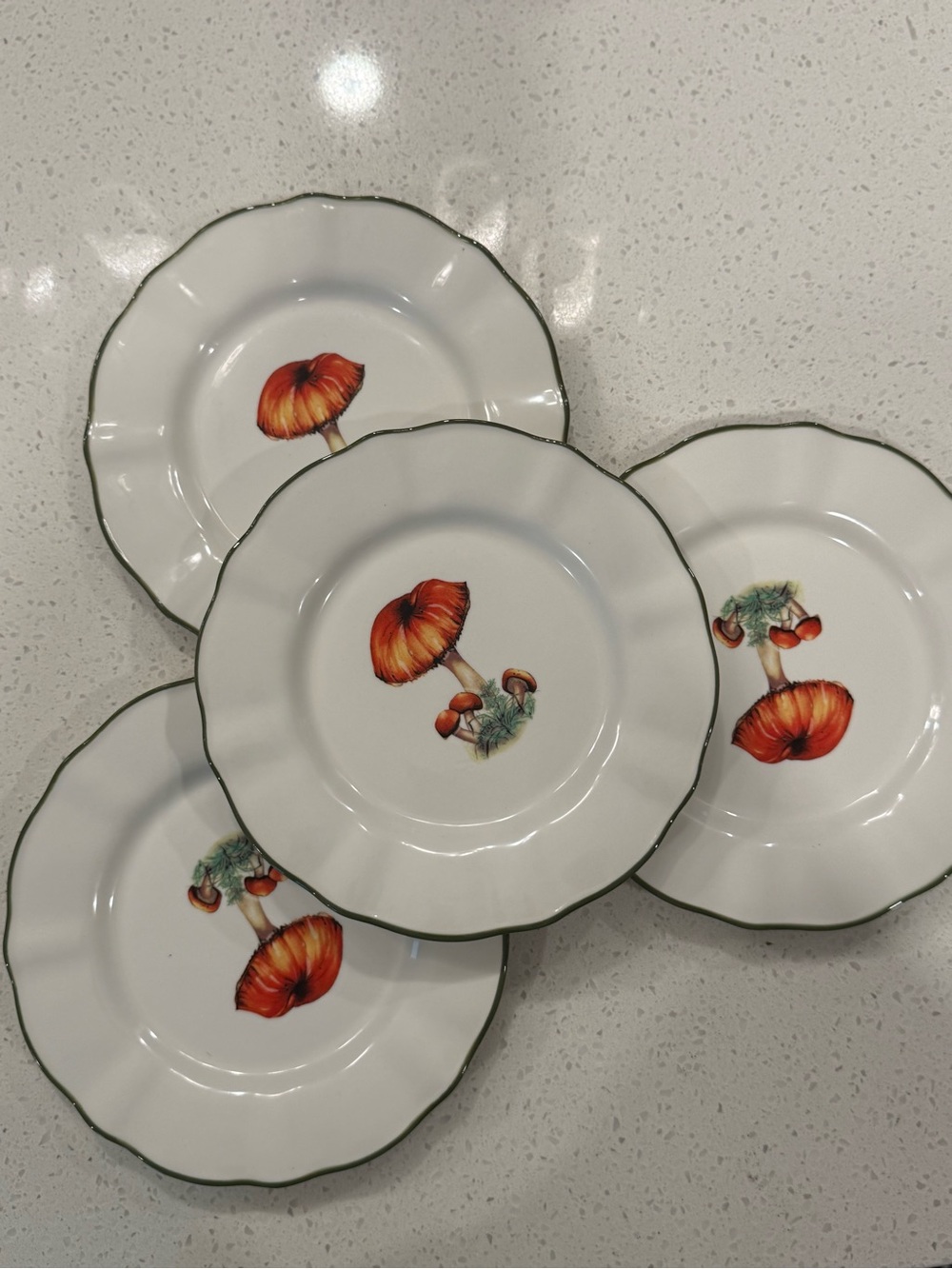 Southern Living Stoneware Two Mushrooms Accent Plates Set of 8